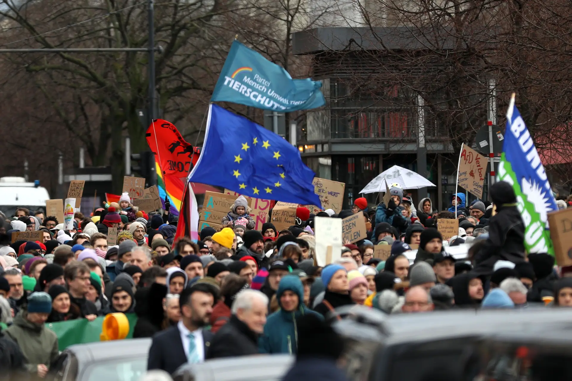 Alemanha: extrema-direita quer referendo sobre saída do país da União Europeia