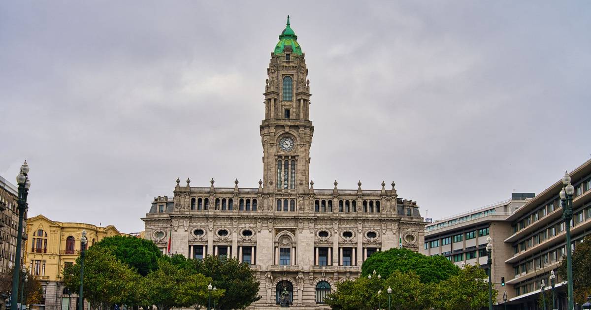 Il Comune di Porto abbatterà 19 alberi agli Aliados e rinnoverà il "restante patrimonio arboreo"