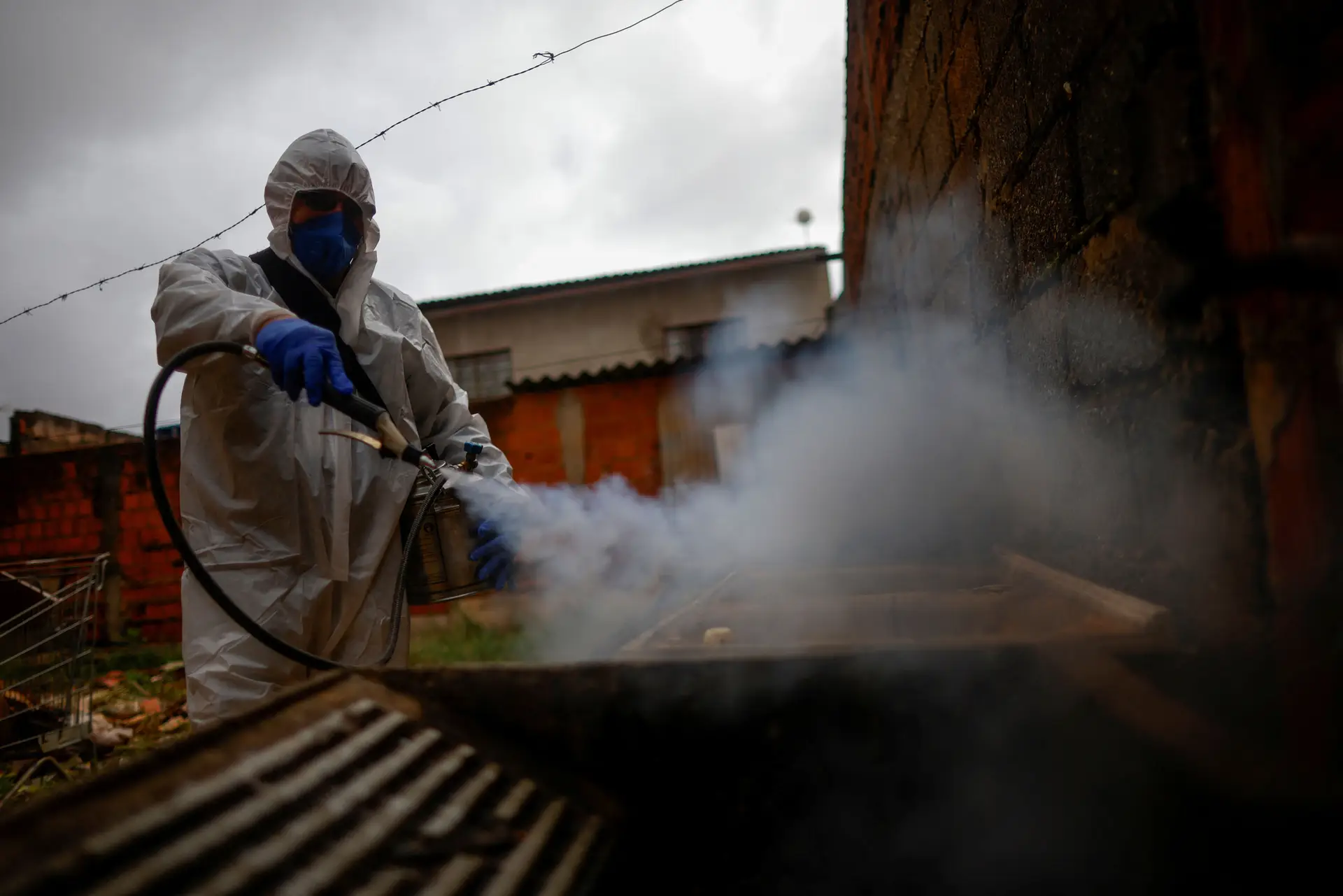 Casos de dengue disparam em São Paulo, que decreta emergência sanitária
