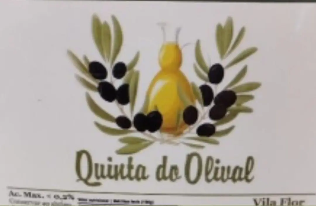 Cerca de 50 mil litros de óleo alimentar apreendidos pela ASAE