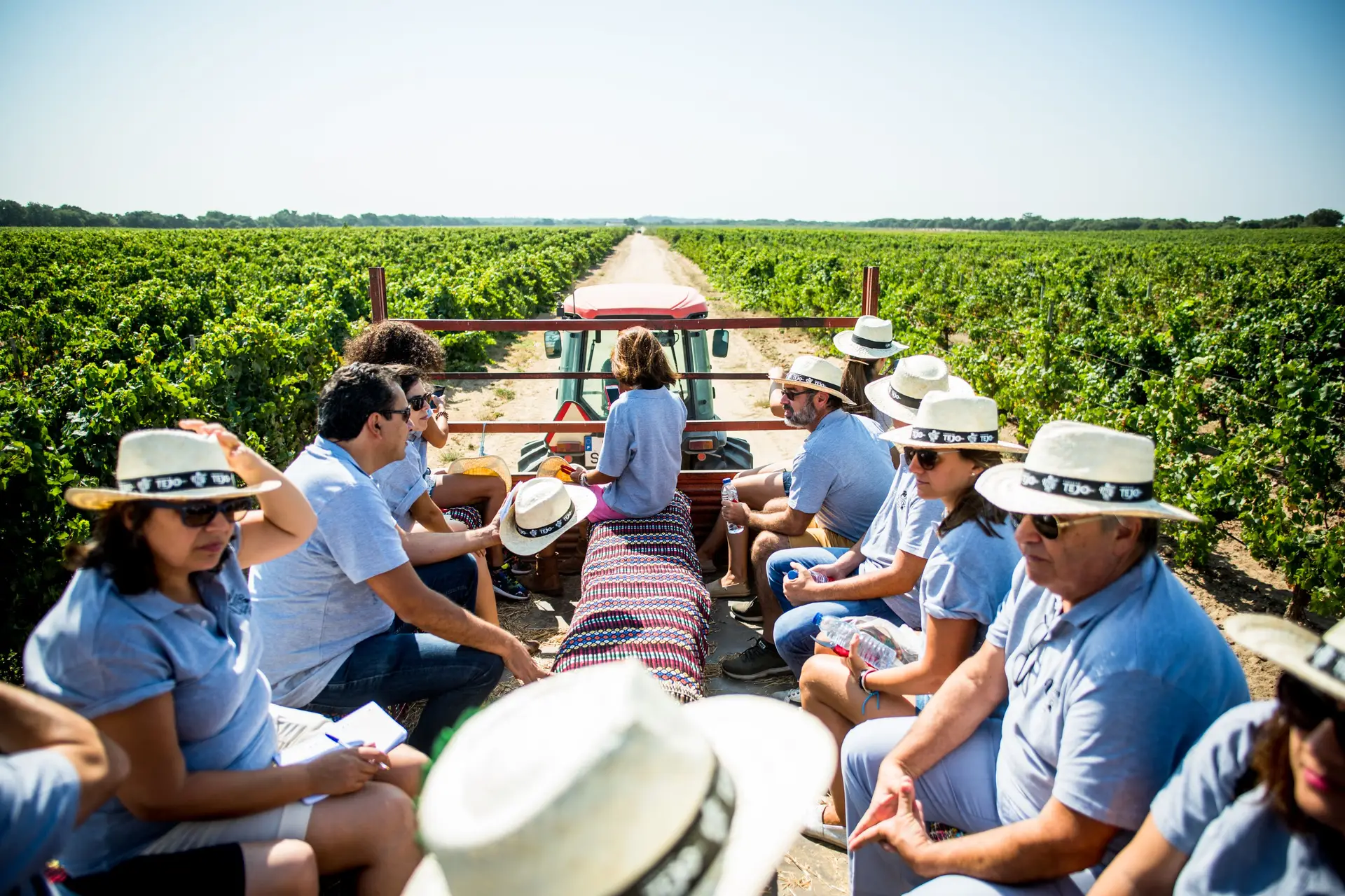 Ribatejo: roteiro para descobrir a Cidade do Vinho 2024