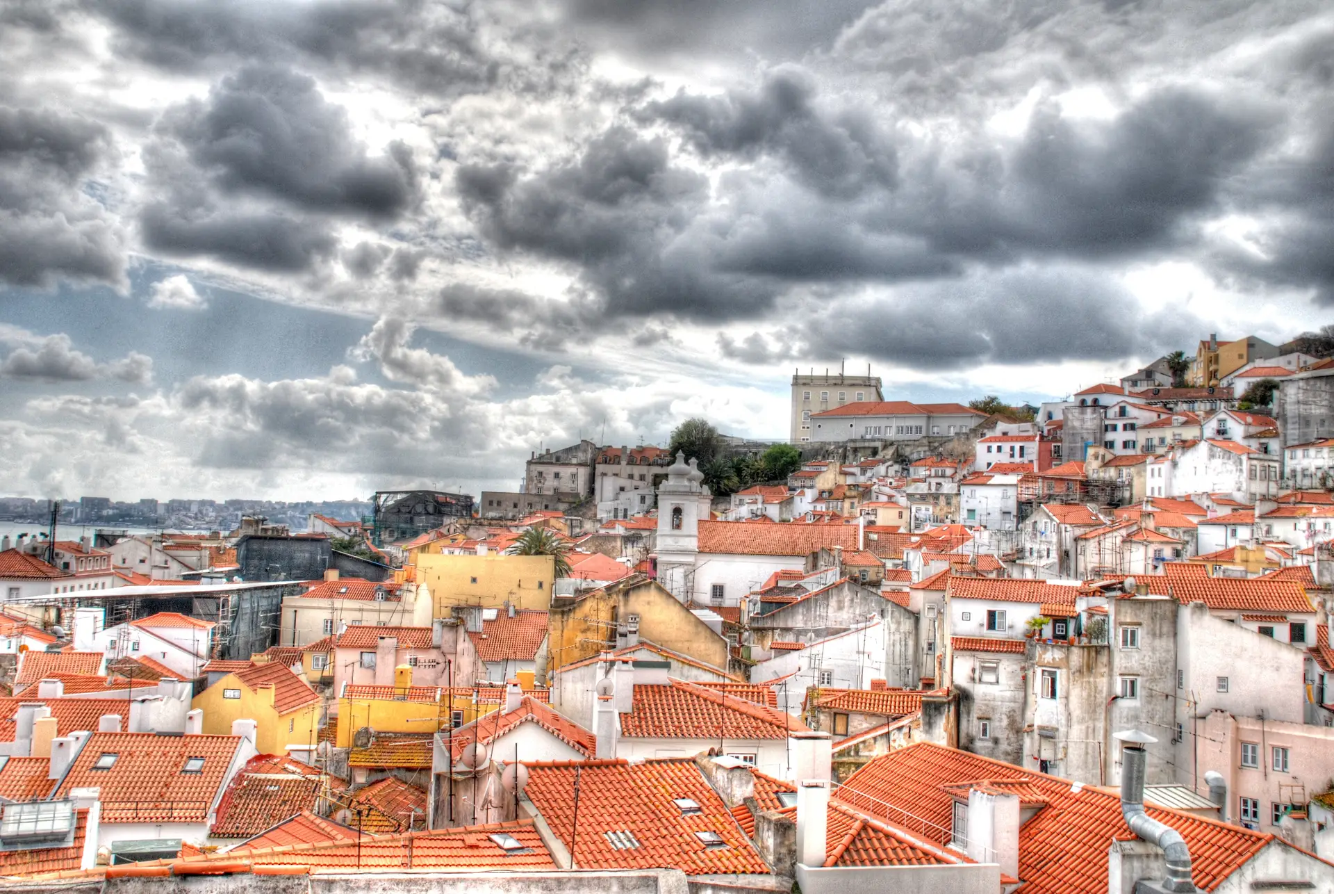 Lisboa cheira a azeitonas: de onde vem o odor?