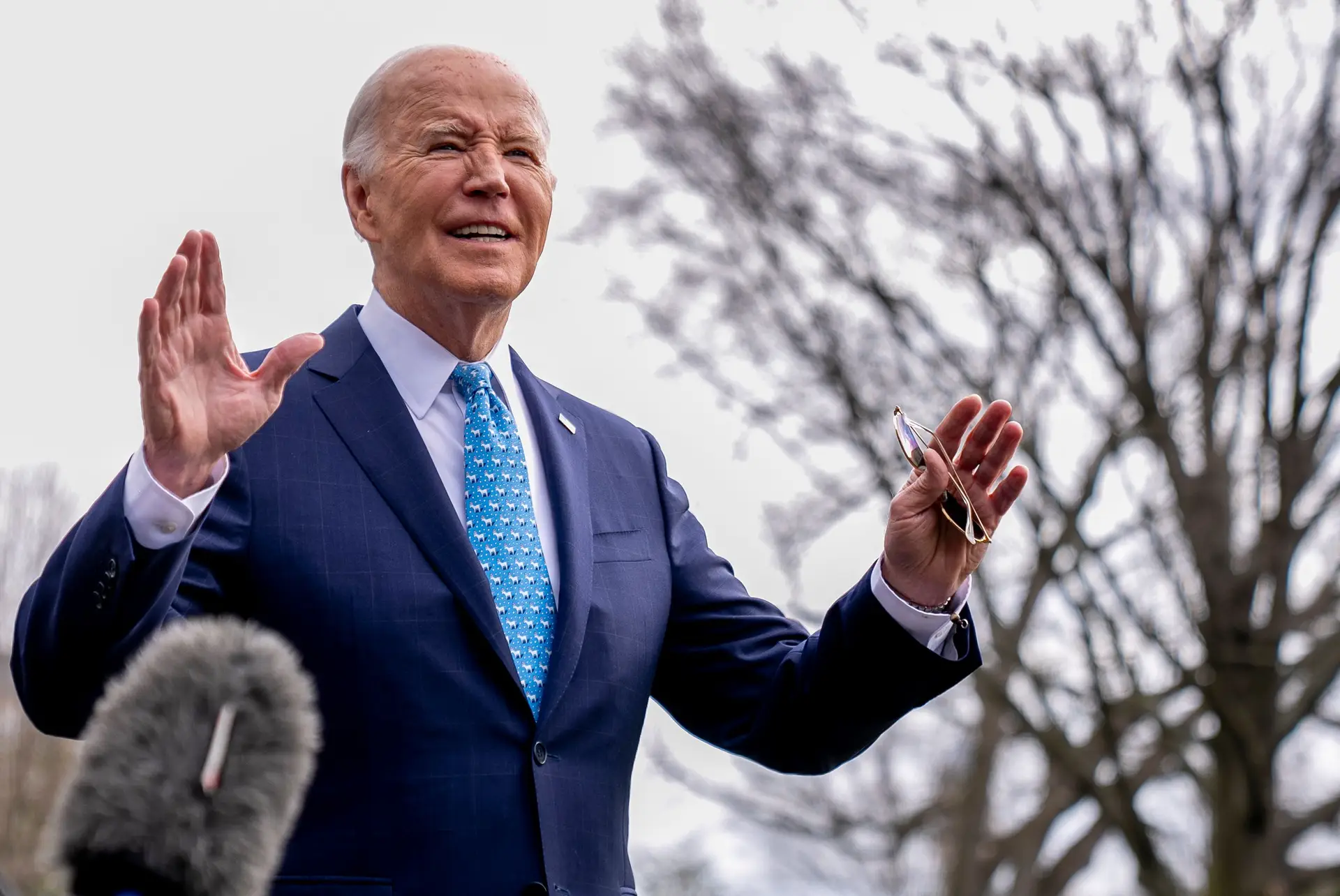 Joe Biden vence primárias democratas da Carolina do Sul