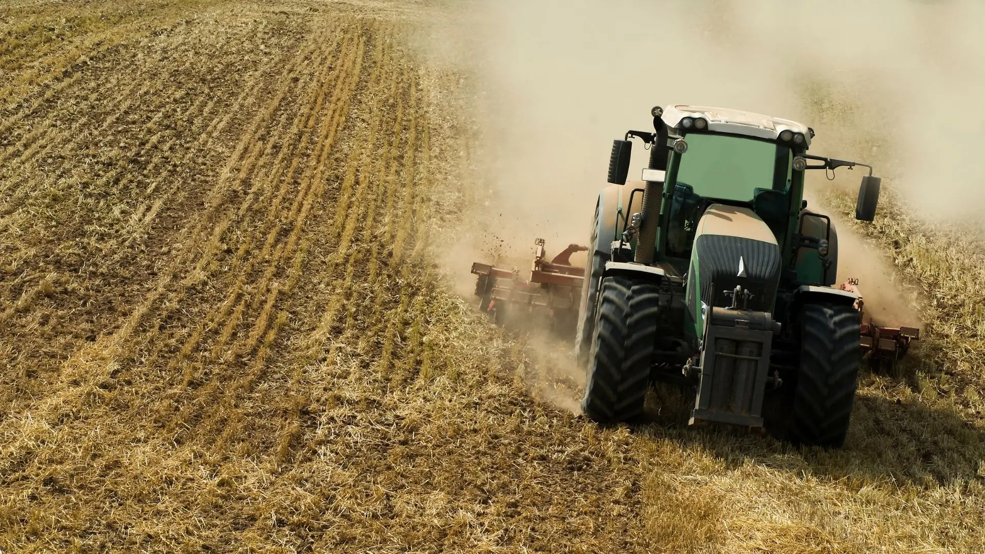 Agricultores algarvios marcham (entre Faro e Castro Marim) para exigir "condições justas"