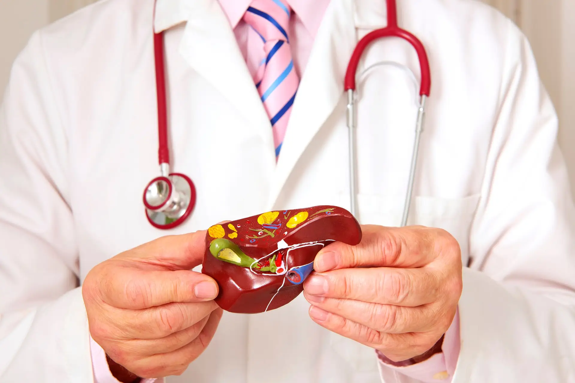 Novo modelo de IA avalia se transplante de fígado é viável e reduz em 60% colheitas frustradas