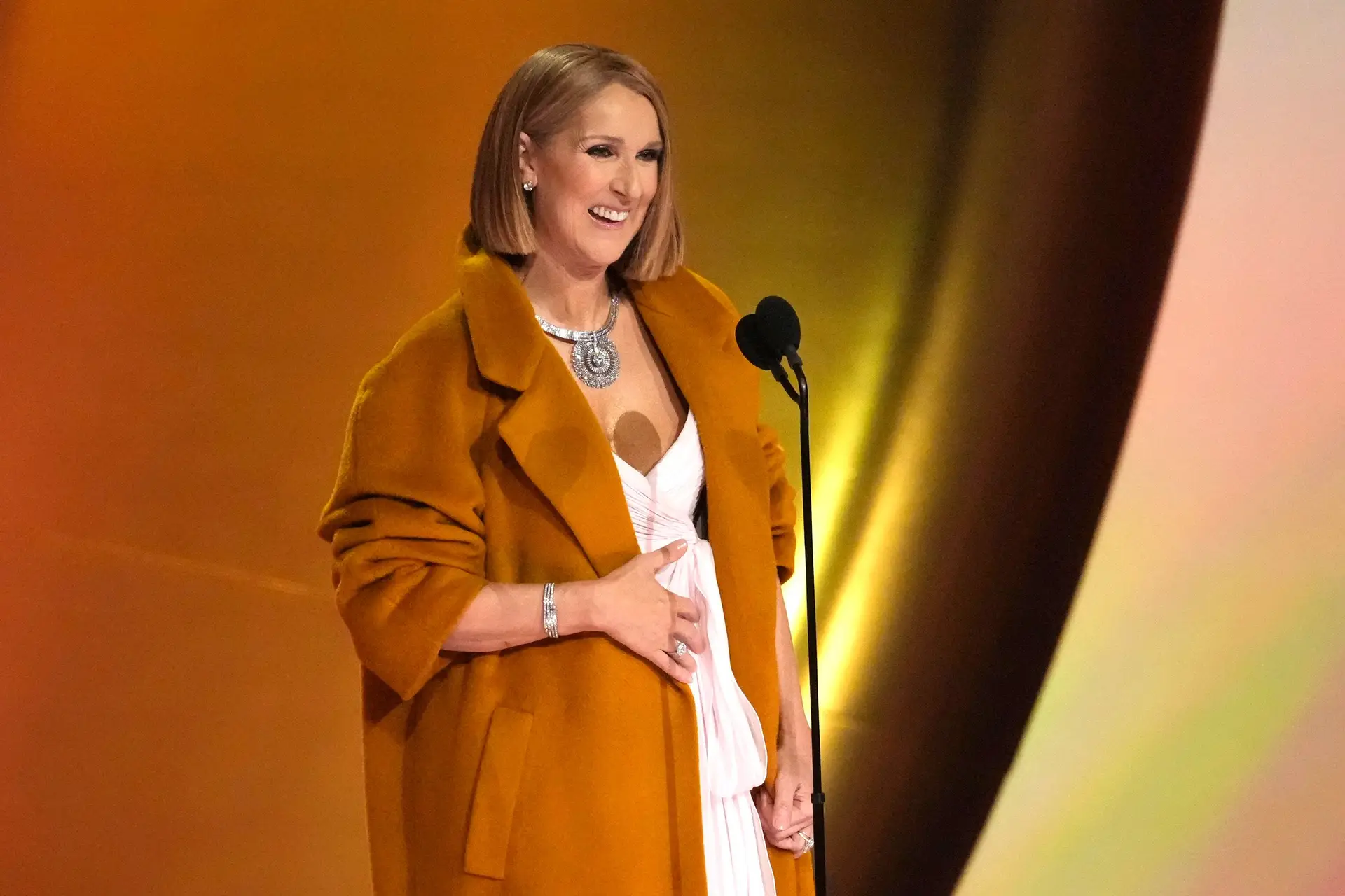 Céline Dion aparece em público (para entregar Grammy a Taylor Swift) pela primeira vez em meses