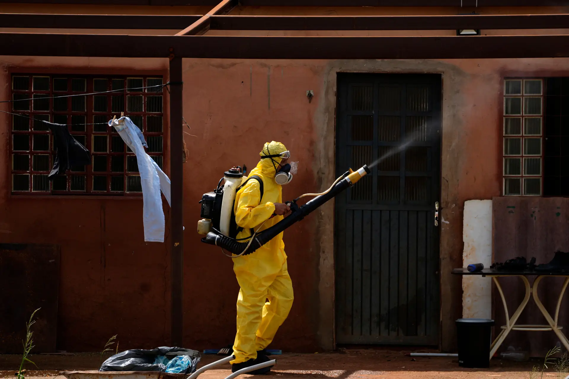 Dengue: Brasil regista forte queda do número de casos nos primeiros meses do ano