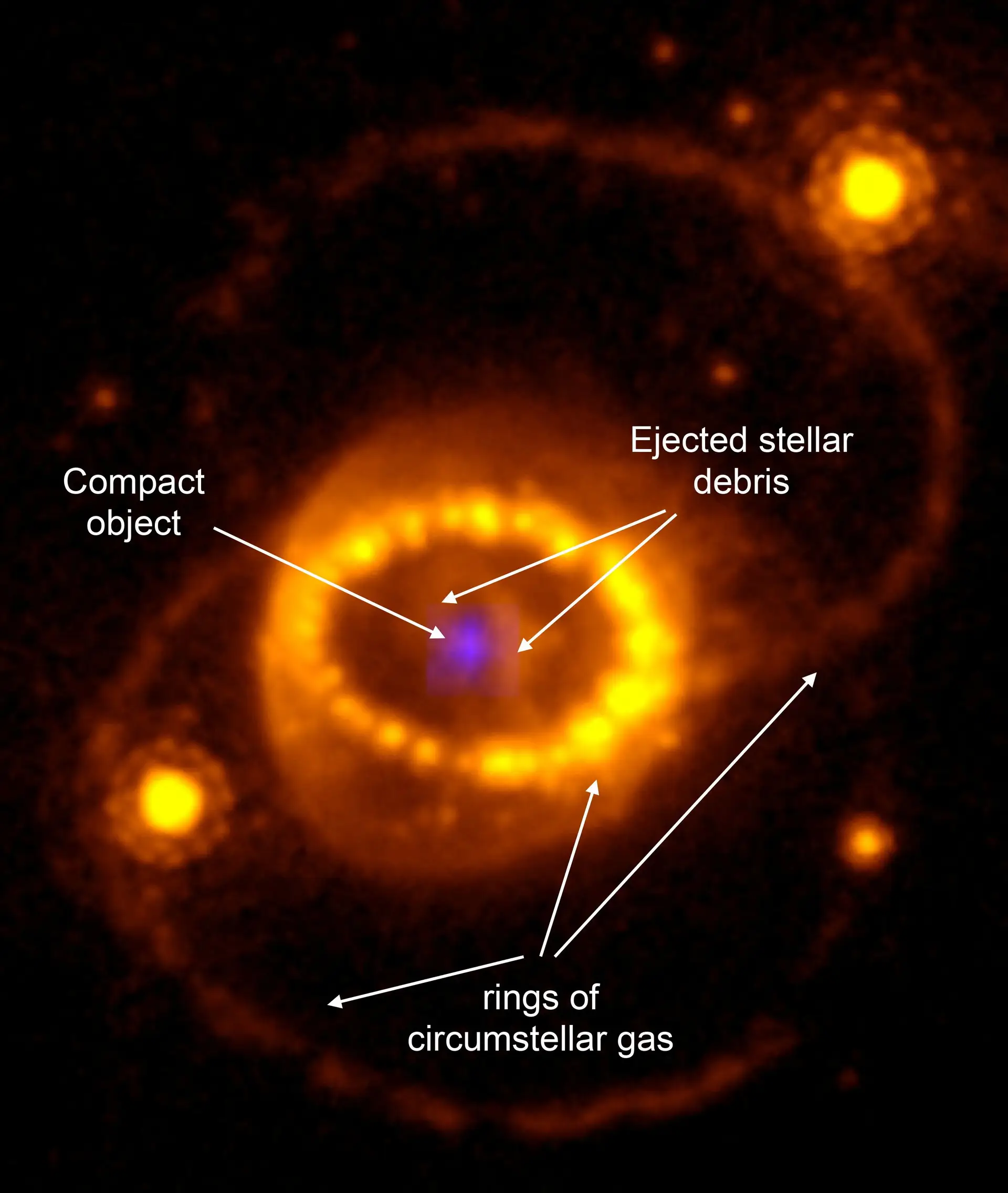 Traços de estrela de neutrões numa supernova confirmados pelo Telescópio James Webb
