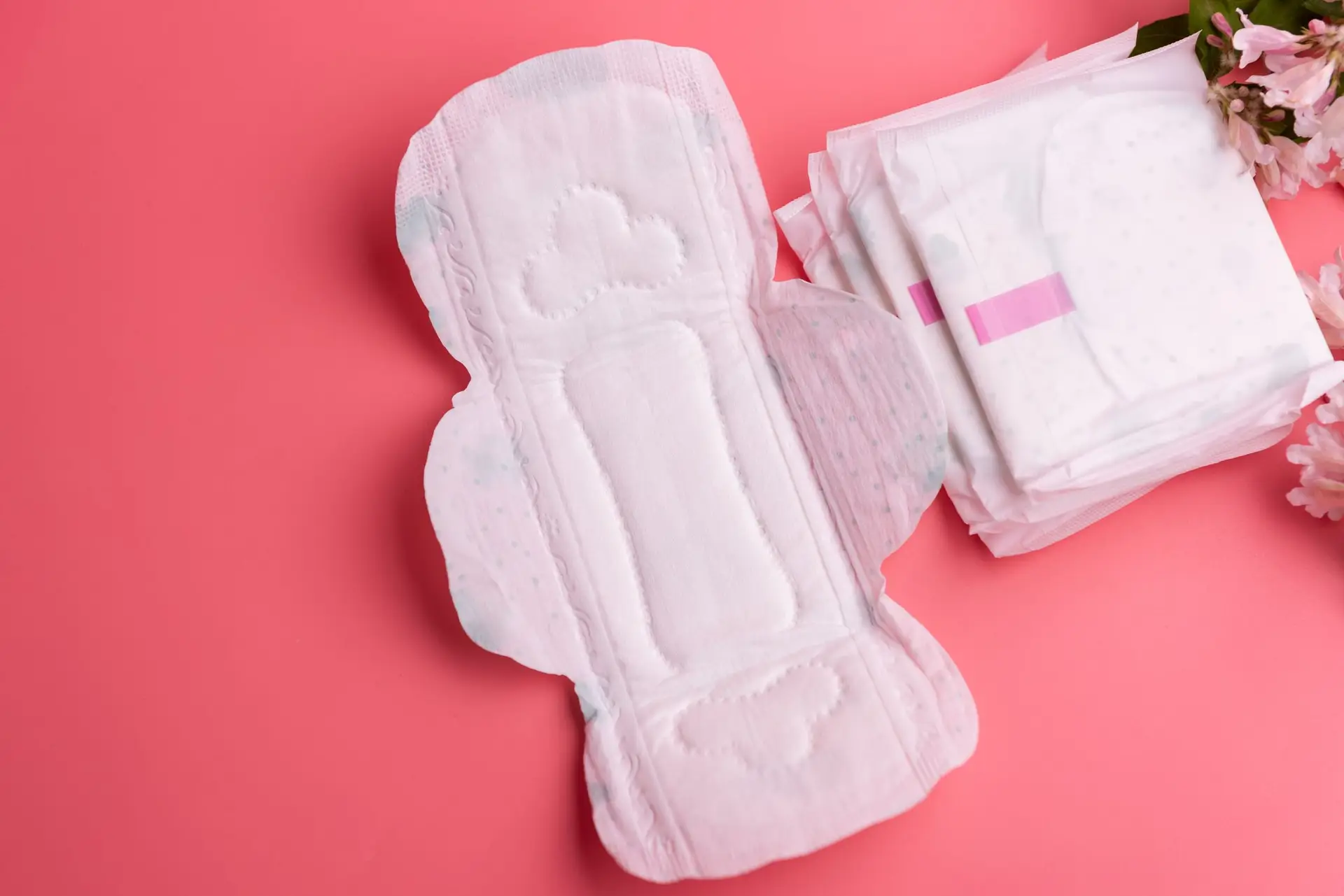 Pobreza menstrual? Almada oferece kits com produtos de higiene feminina pelas escolas do concelho