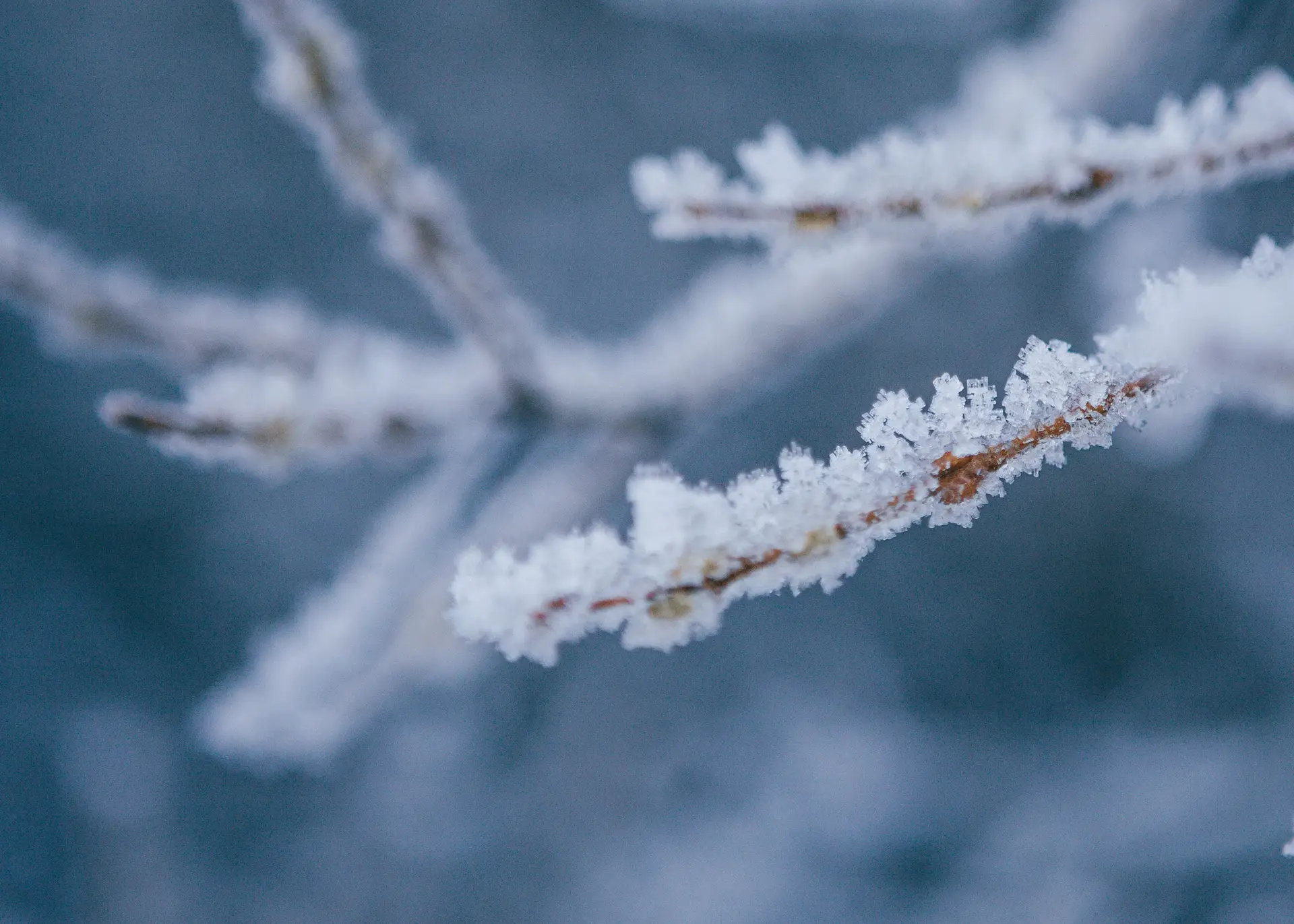 Neve fecha escolas em Montalegre