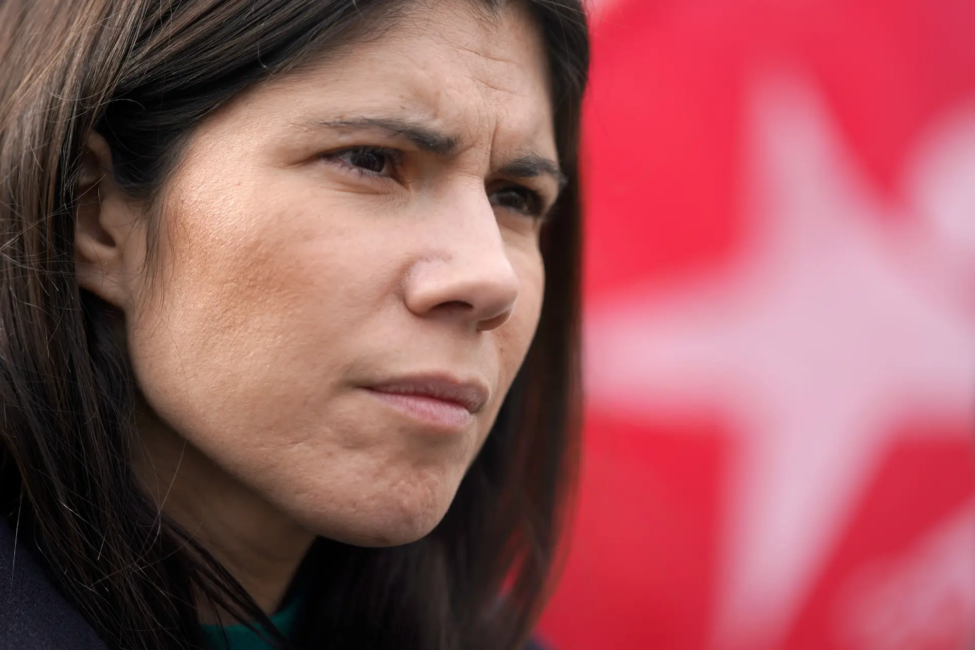 Ataque com tinta contra Montenegro é "ataque à democracia", diz Mortágua