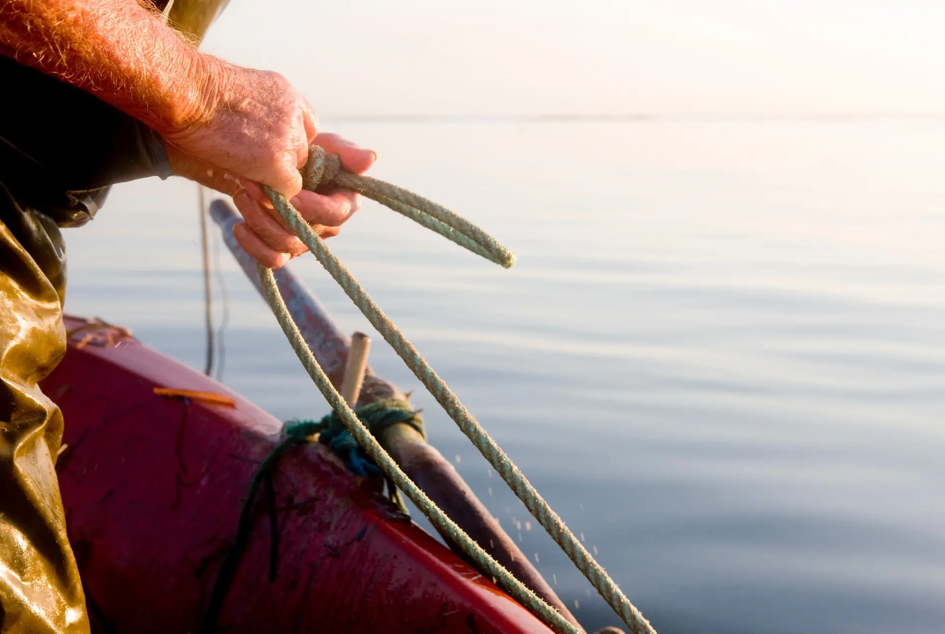 Pescadores da Ria de Aveiro exigem guias em papel para evitar multas pesadas no transporte de peixe