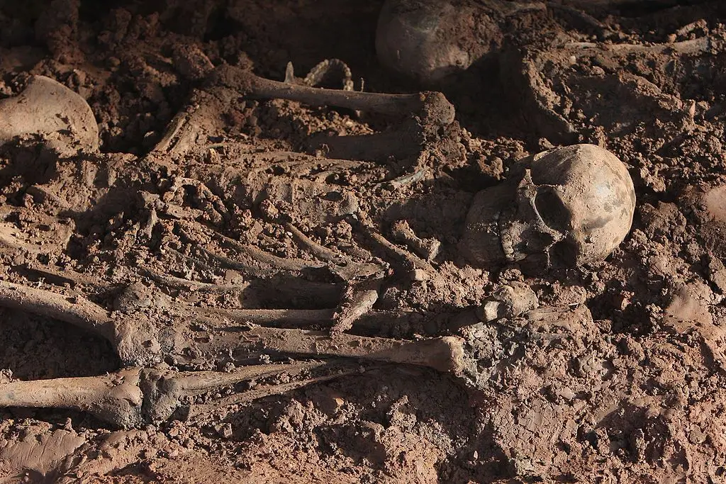 Descoberta na Alemanha vala comum que pode ser a maior da Europa