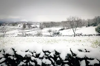 IP4 cortado no Marão e autoestradas condicionadas pela neve em Vila Real