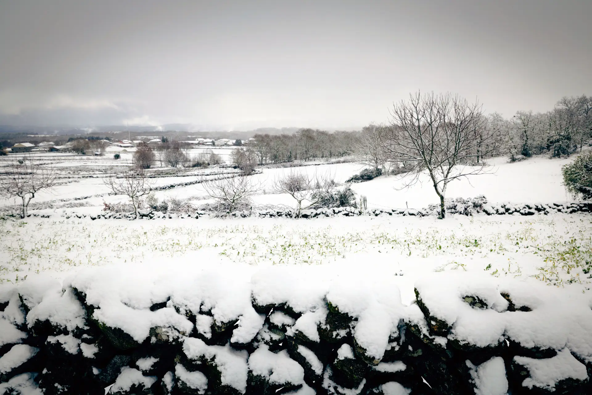 IP4 cortado no Marão e autoestradas condicionadas pela neve em Vila Real