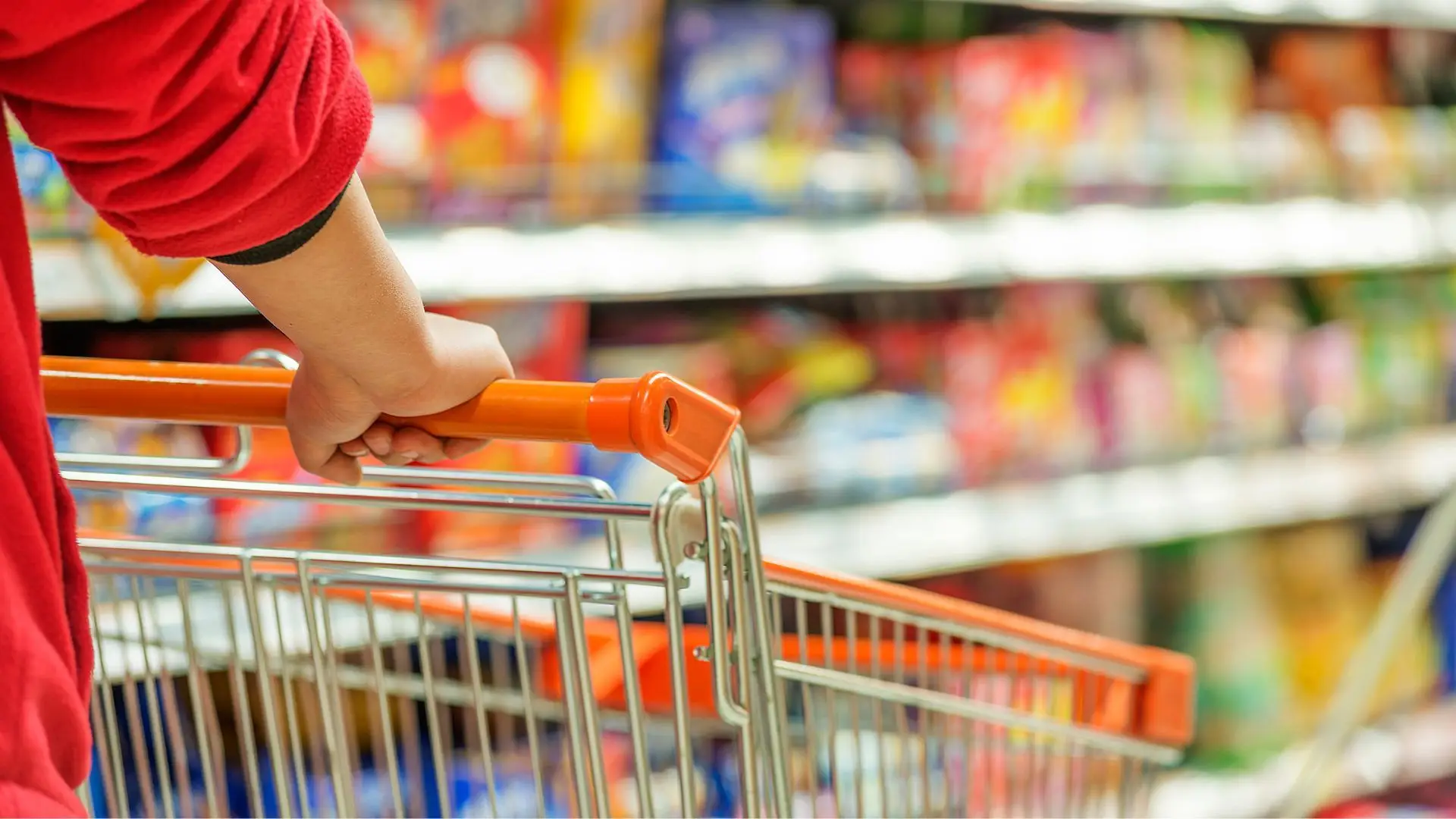 Cabaz alimentar da DECO Proteste aumentou 70 euros desde o início da guerra na Ucrânia