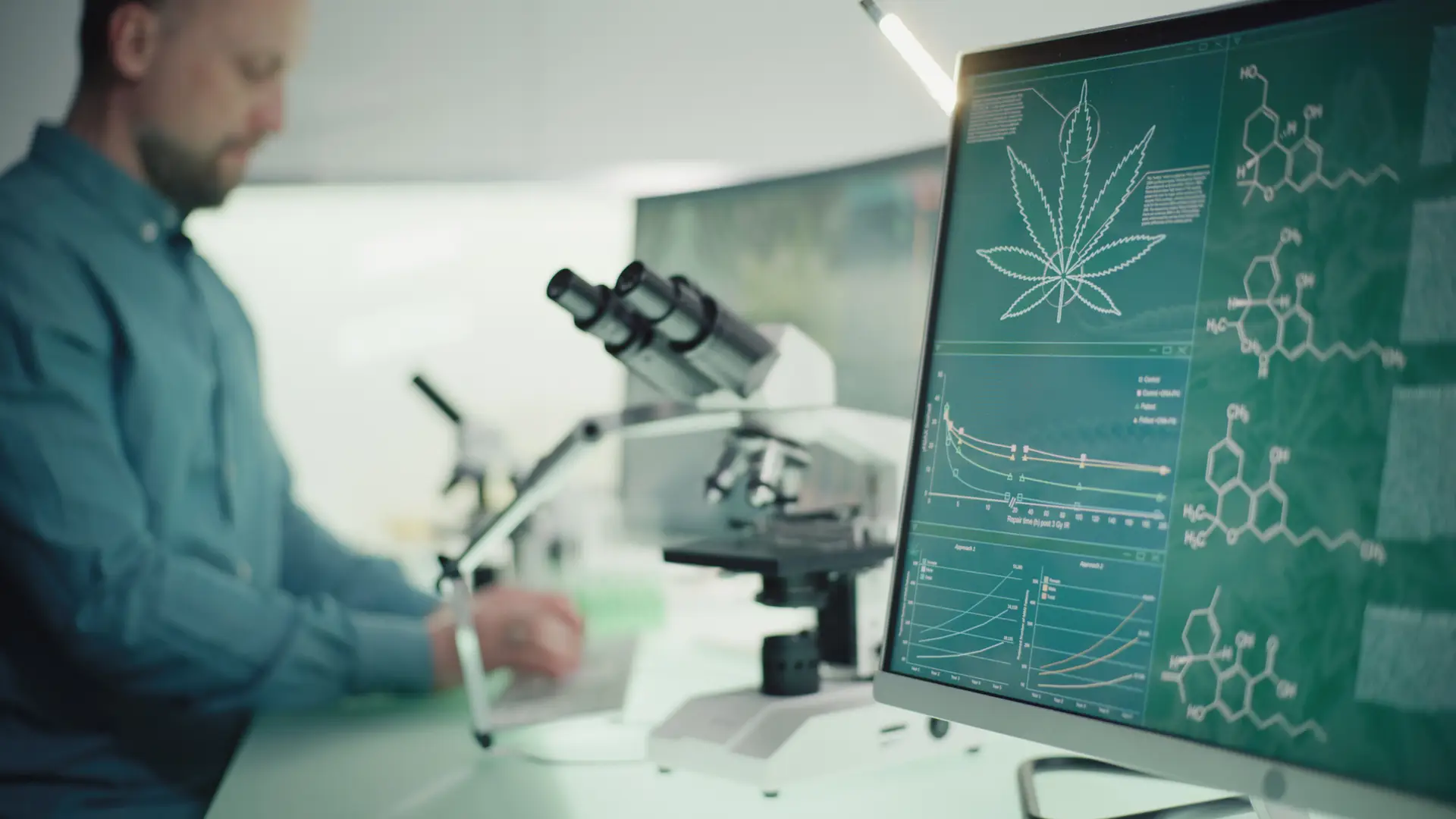 Canábis para fins medicinais: Infarmed aprova comercialização de três novos produtos
