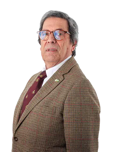 Jorge Manuel de Valsassina Galveias Rodrigues, deputado por Aveiro 