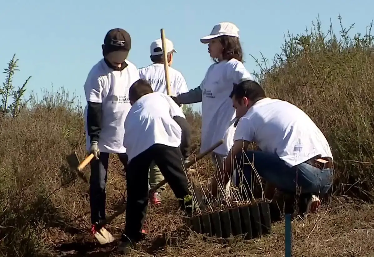 Mais de 200 árvores plantadas por crianças em Viseu