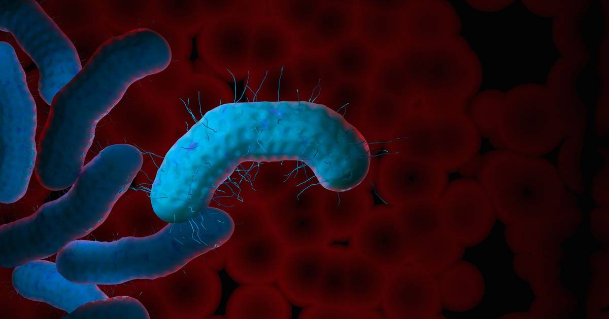 Valongo deteta dois focos de legionella em instalações desportivas e escolares