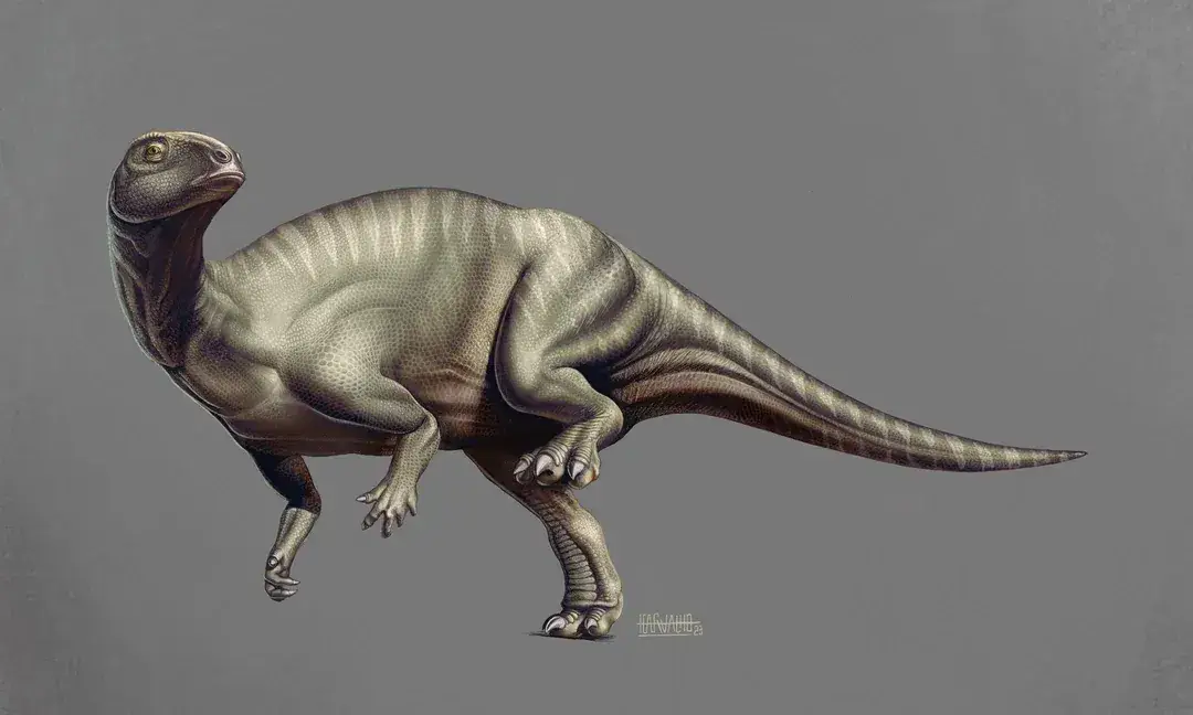 Identificada nova espécie de dinossauro na Lourinhã