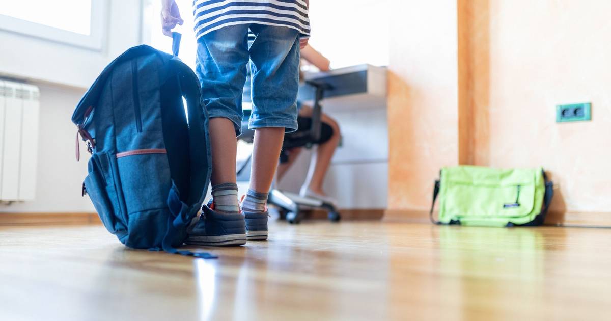 Madre trova droga nello zaino del figlio di 8 anni in campo vacanze a Maia