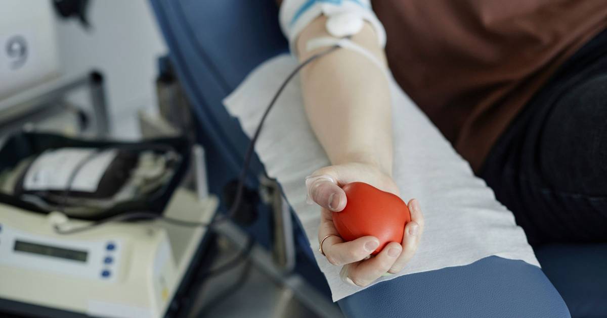 Níveis de sangue abaixo do habitual reforçam necessidade de doações