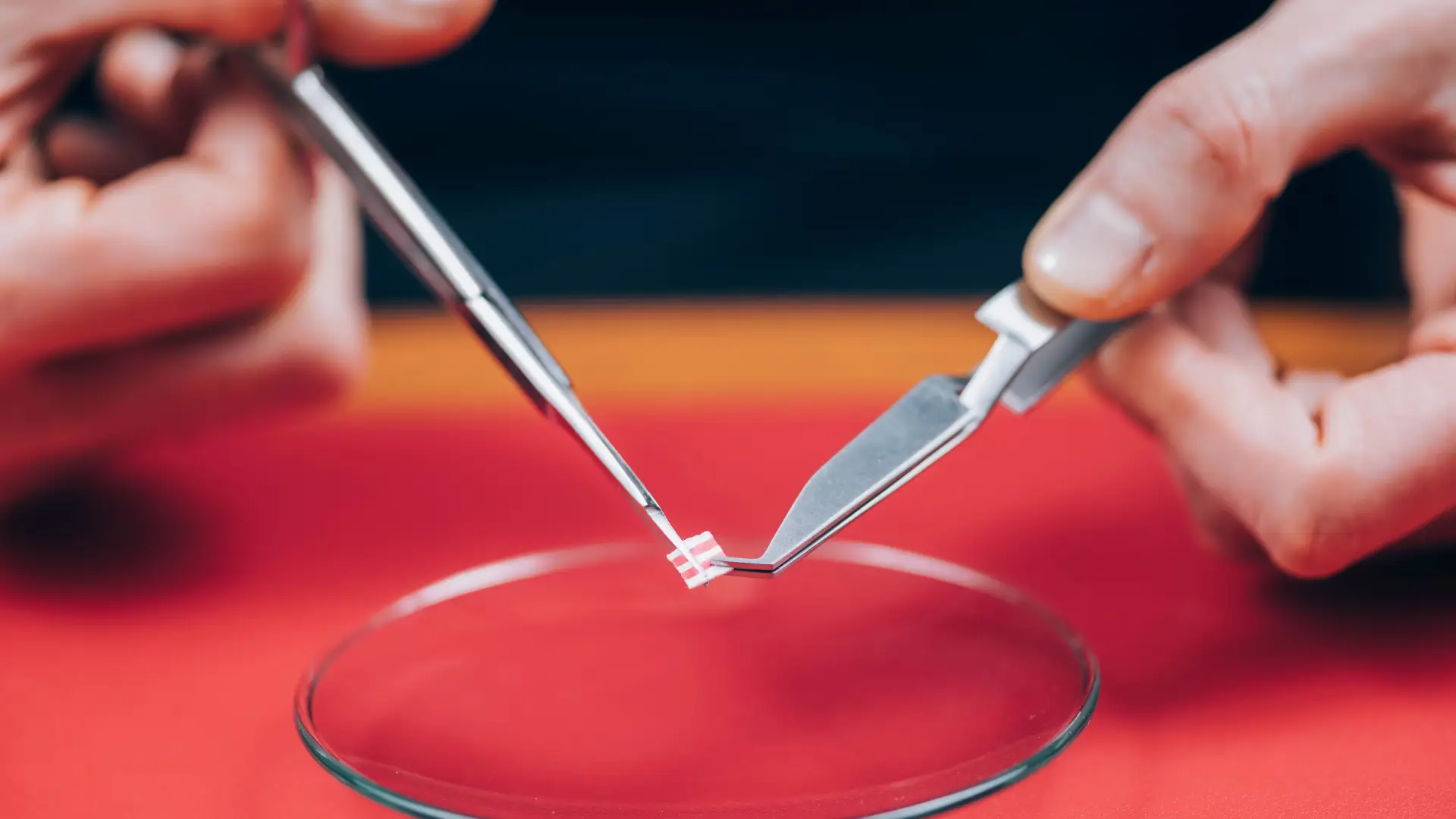 Droga LSD pode reduzir os sintomas de ansiedade? Estudo revela que sim