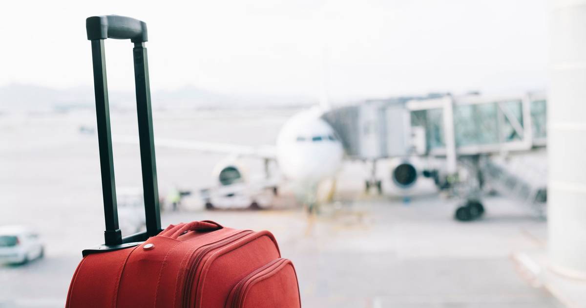 Homem detido em aeroporto na Alemanha com mala cheia de cobras e répteis venenosos