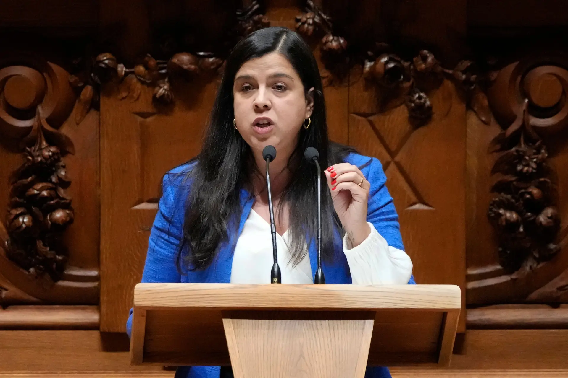 PAN entrega no parlamento proposta de referendo para abolição das touradas: "É hora de acabar com a crueldade"