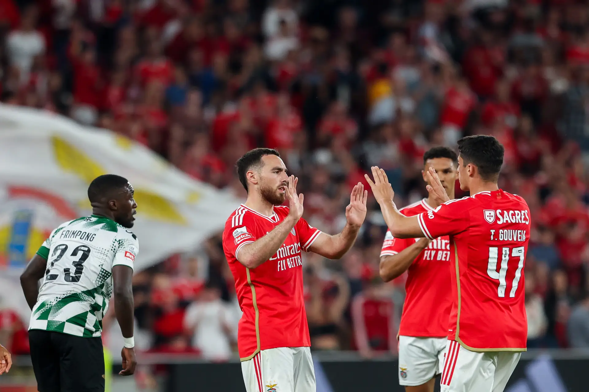 Primeira Liga: Benfica vence Moreirense na Luz