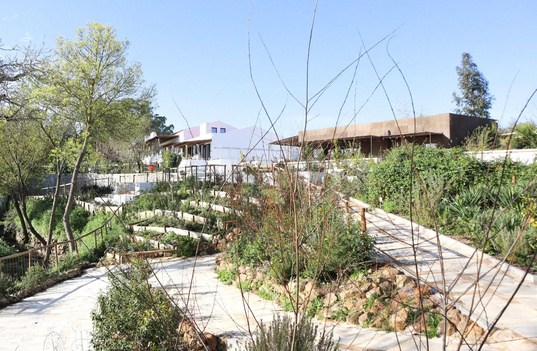 Nova "aldeia com hotel rural" criada em Montemor-o-Novo