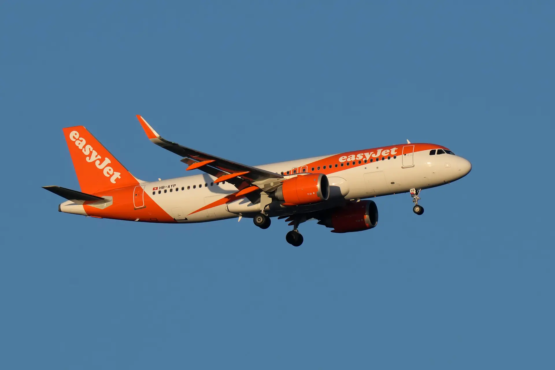 “Enorme disrupção”: sindicato alerta que voos da EasyJet no verão podem estar comprometidos