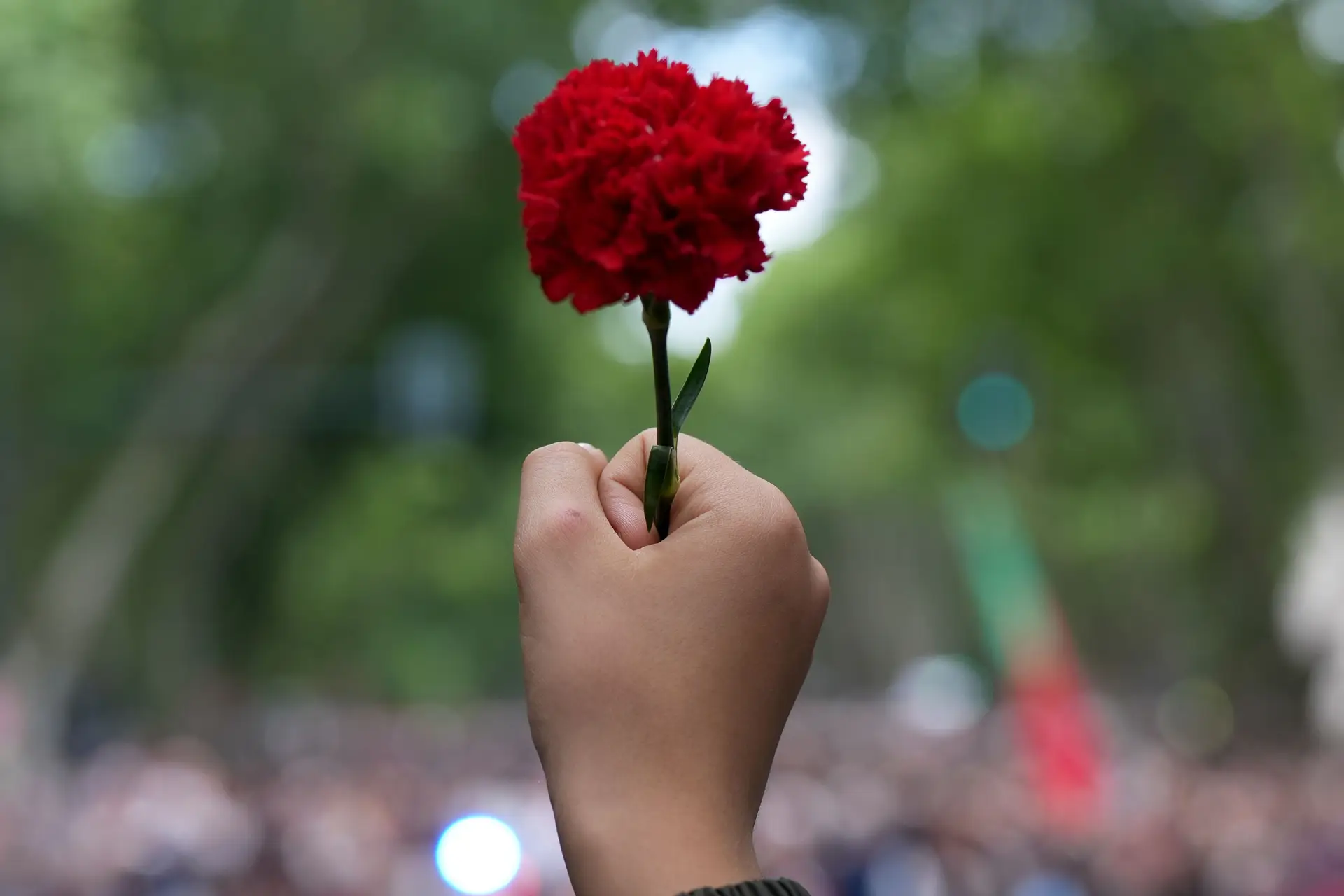 Se o Papa Francisco fosse um militar português em 1974, "decerto seria um Capitão de Abril"