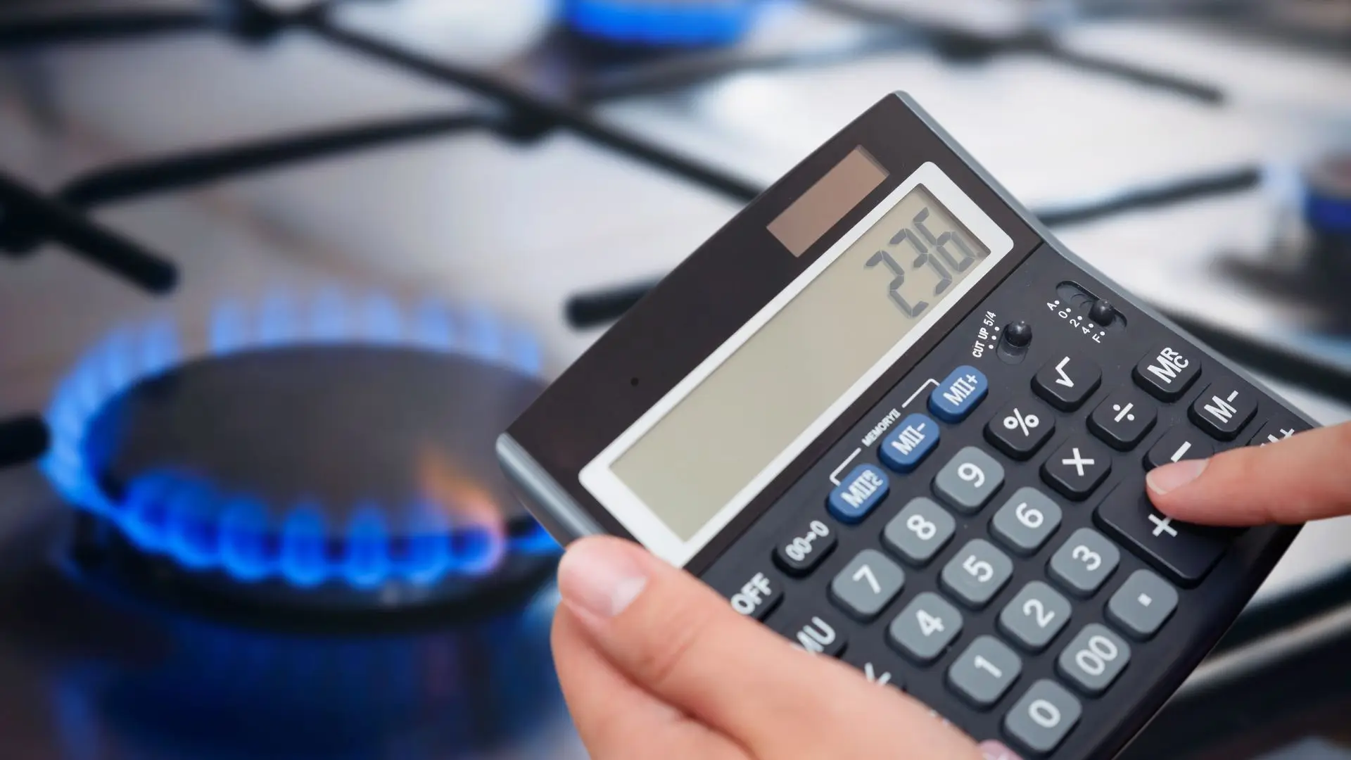ERESE ensures an increase of 1.5% in natural gas price in the controlled market