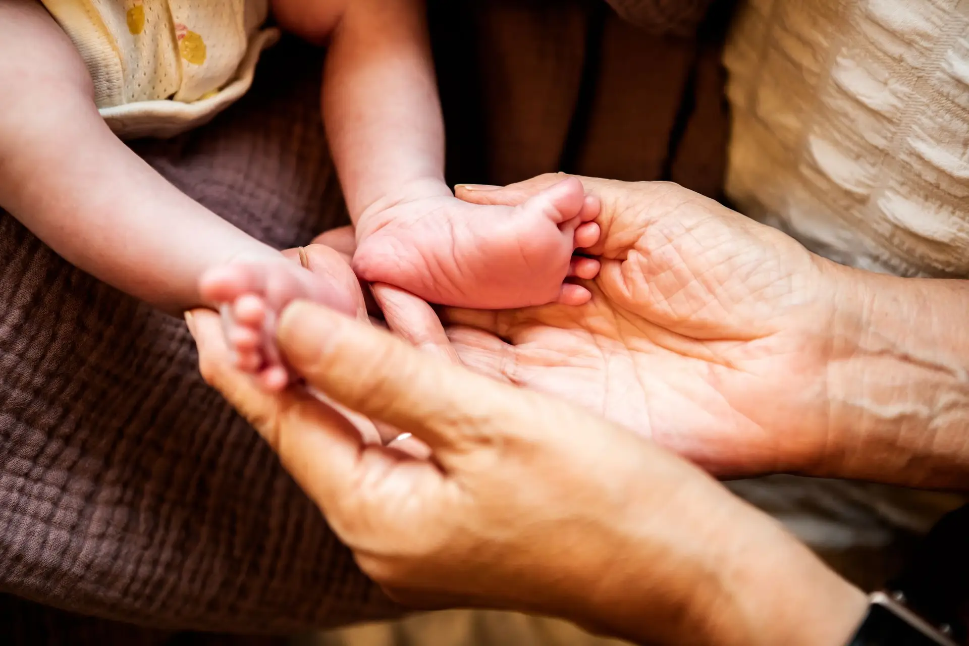 E se vivêssemos para sempre? A resposta de um vencedor do Prémio Nobel da Química