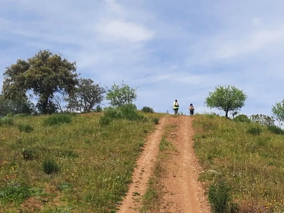 Quatro novos percursos pedestres para descobrir a paisagem do interior do Algarve