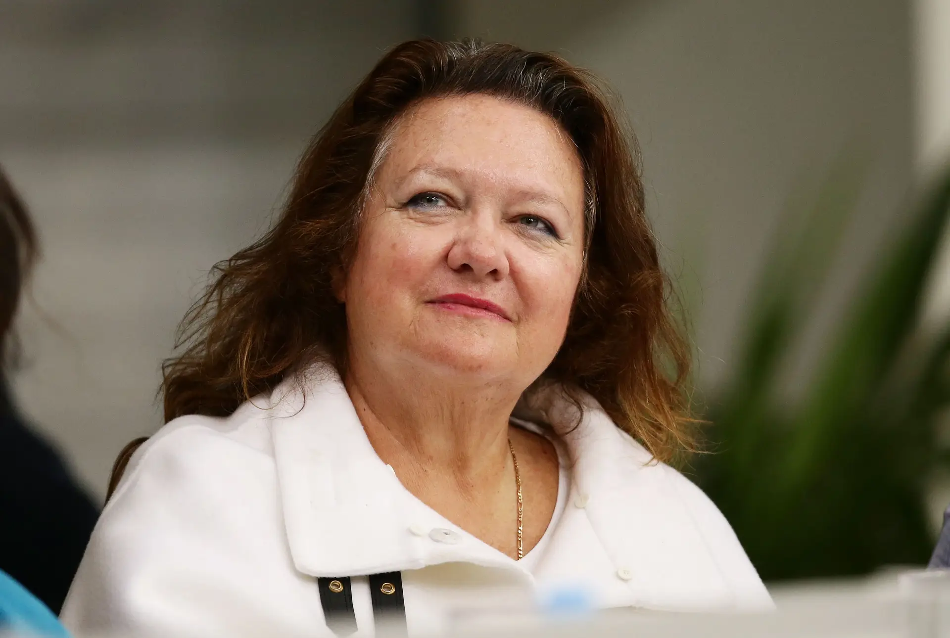 Mulher mais rica da Austrália exige que retrato seja retirado de museu