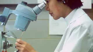 "Nos países ocidentais, o cancro da próstata é o tumor mais frequente nos homens"