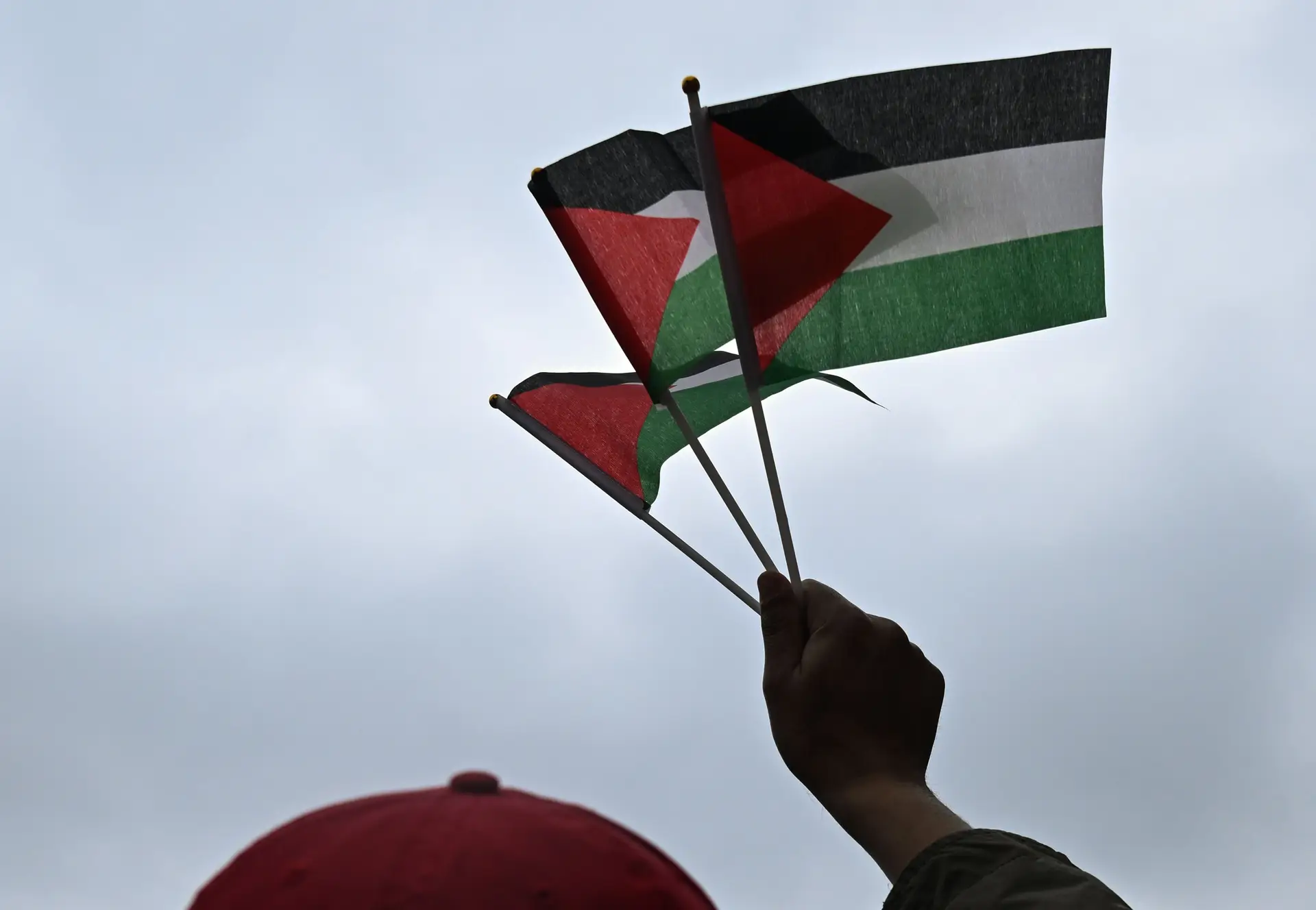 La Cámara de Pharaoh comparte datos de Palestinian Pro -Managers