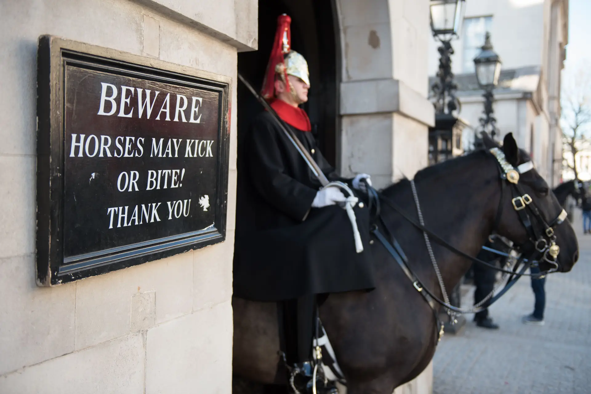 Cavalo da guarda real morde turista em Londres
