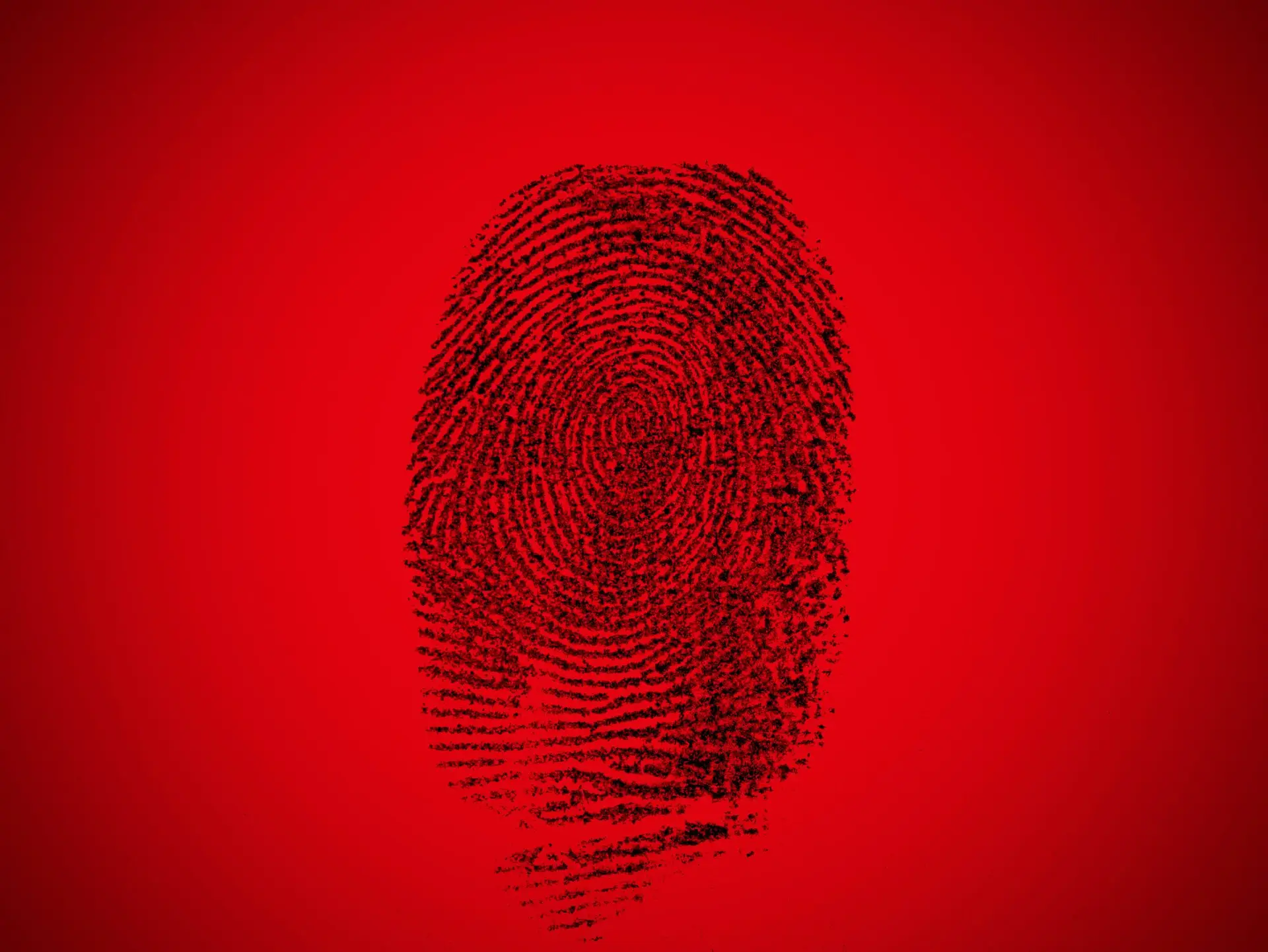 Crimes violentos, extremismos políticos e grupos rivais: o que revela o Relatório Anual de Segurança Interna?