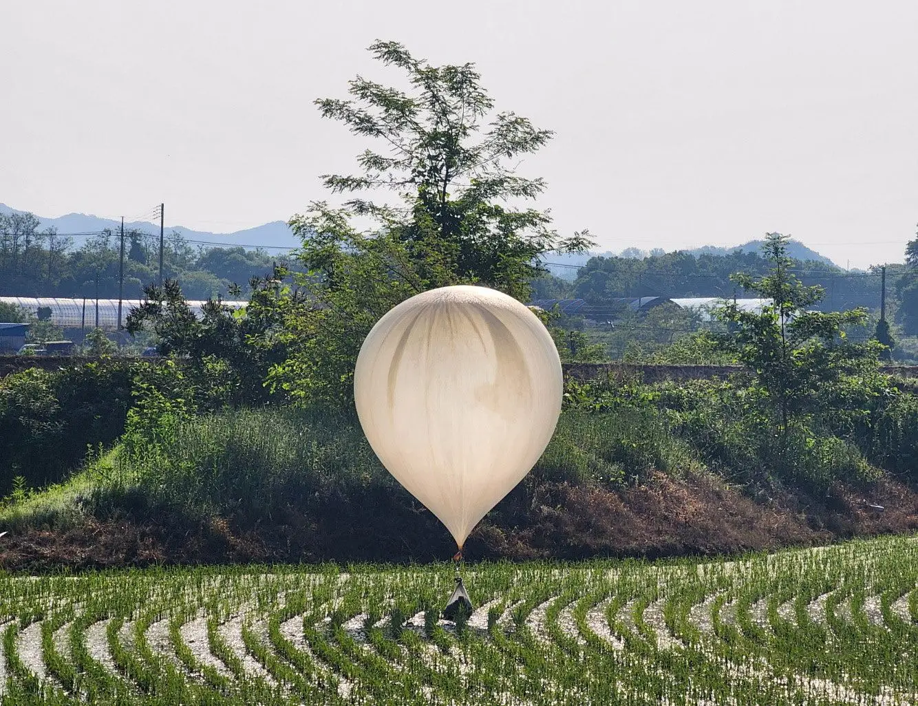 Coreia do Norte envia balões para a Coreia do Sul... cheios de lixo