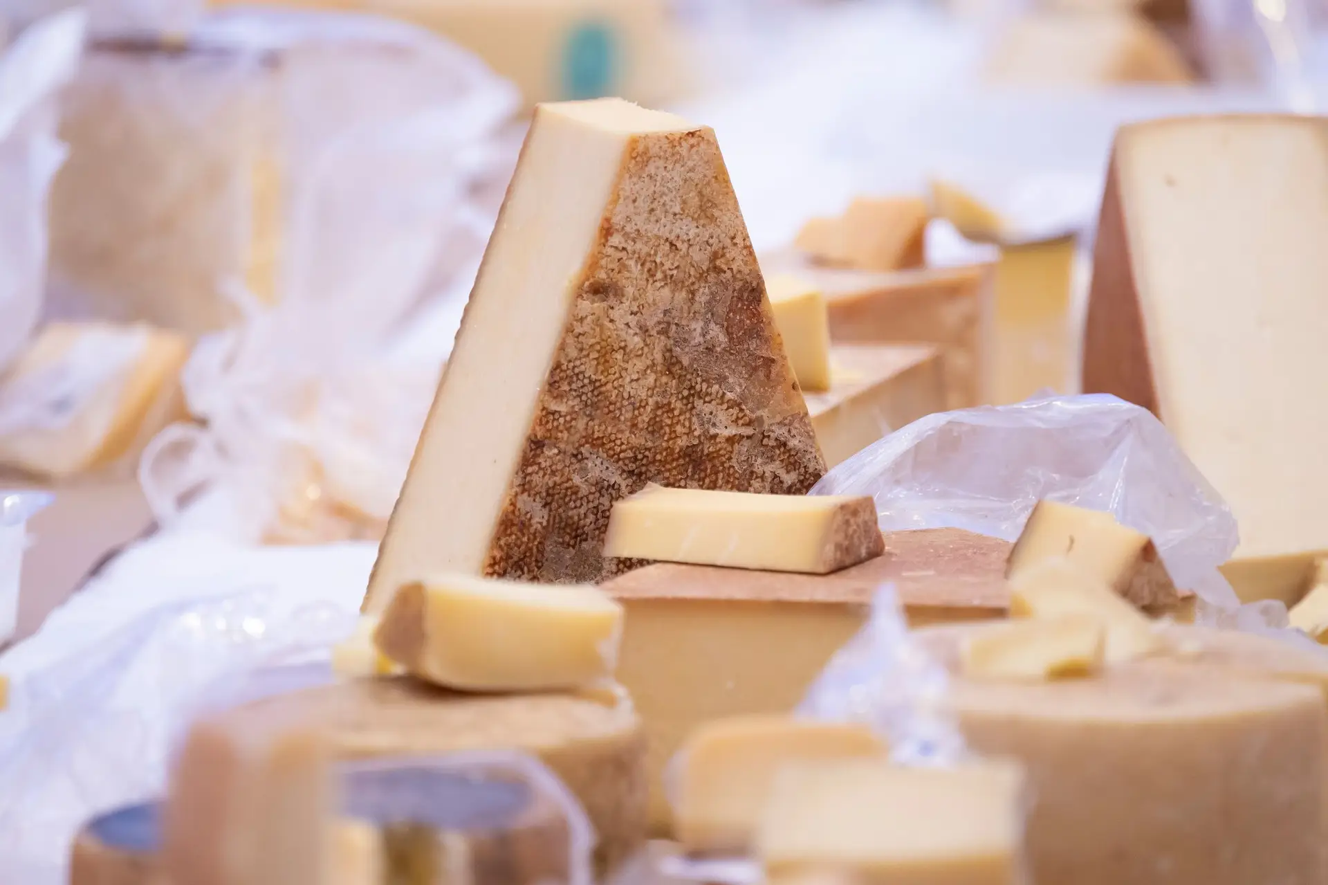 "Óscares do Queijo": primeira edição em Portugal reúne quase cinco mil exemplares