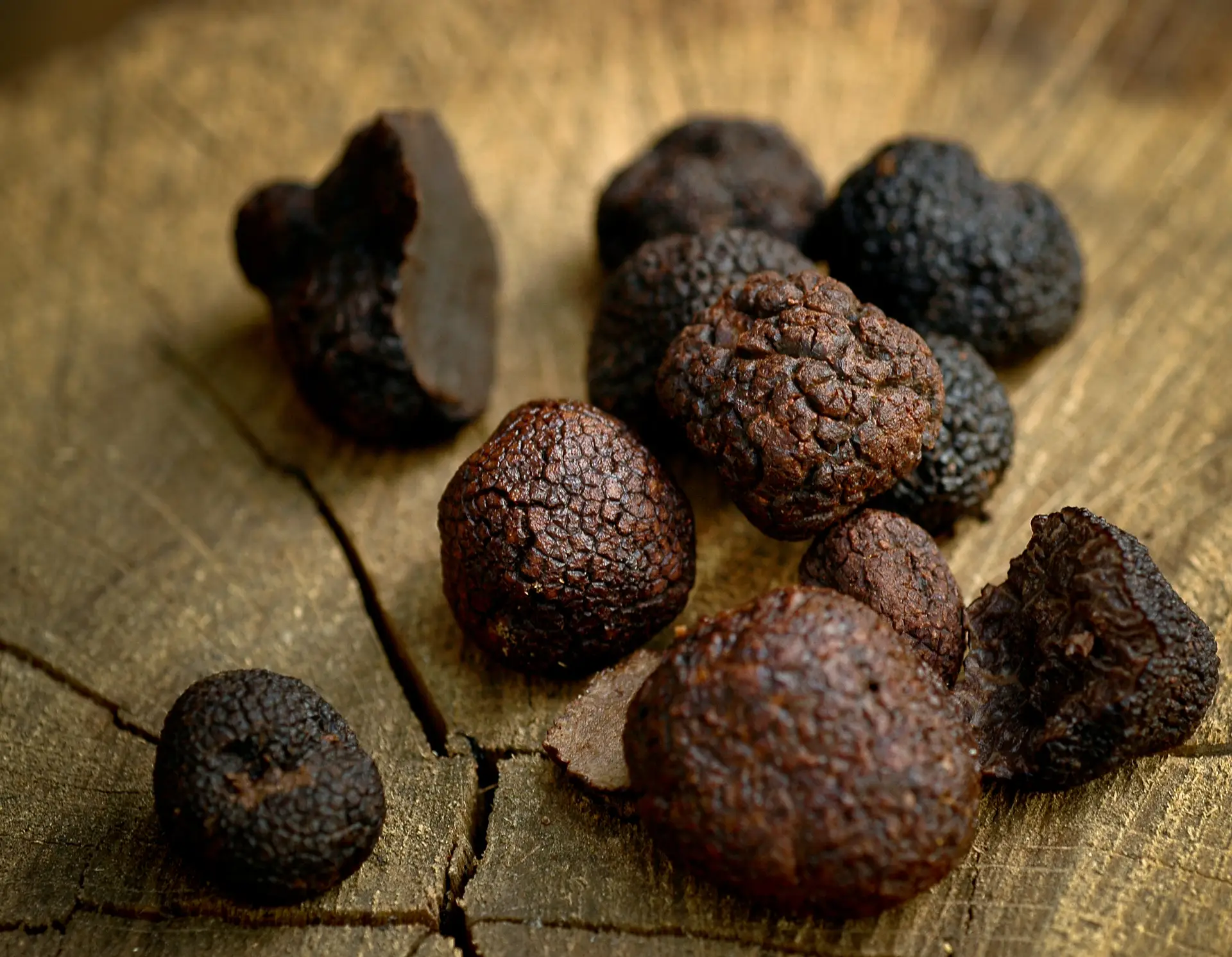 “Une odeur spectaculaire” : la découverte inédite de la truffe noire au Portugal