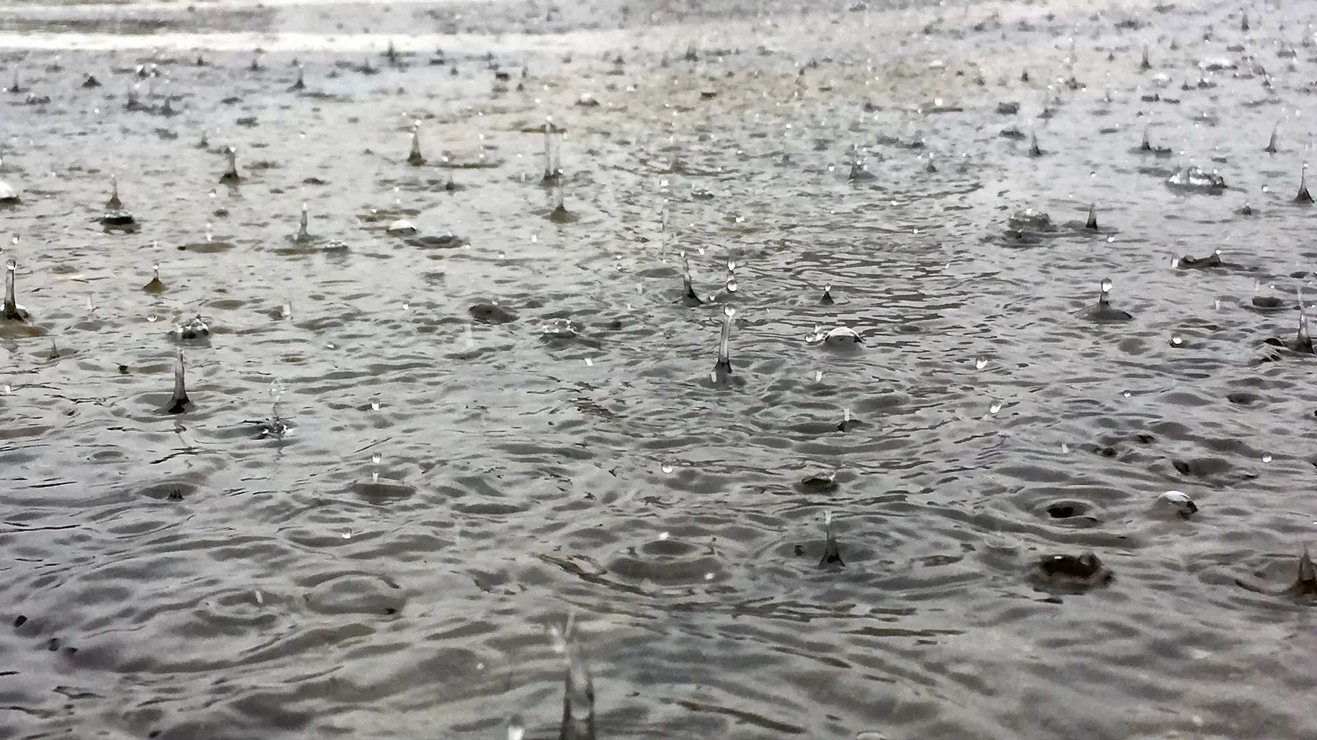 The southern coast of Madeira and mountainous areas under orange warning due to heavy rain and thunderstorms