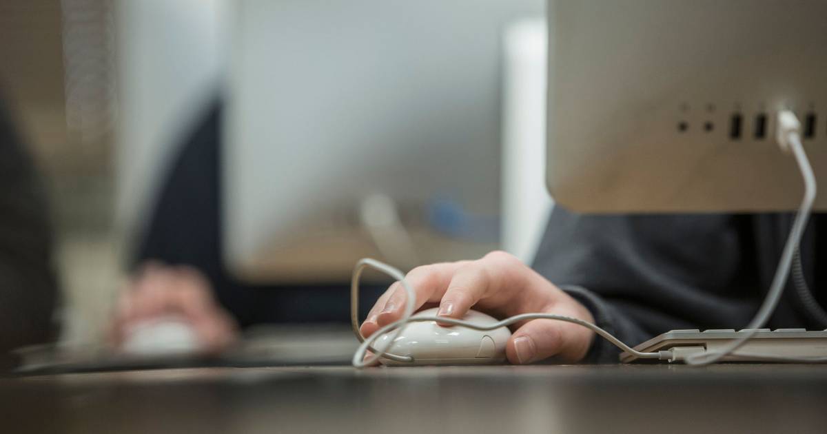 Escolas: provas-ensaio em formato digital começam a 10 de fevereiro