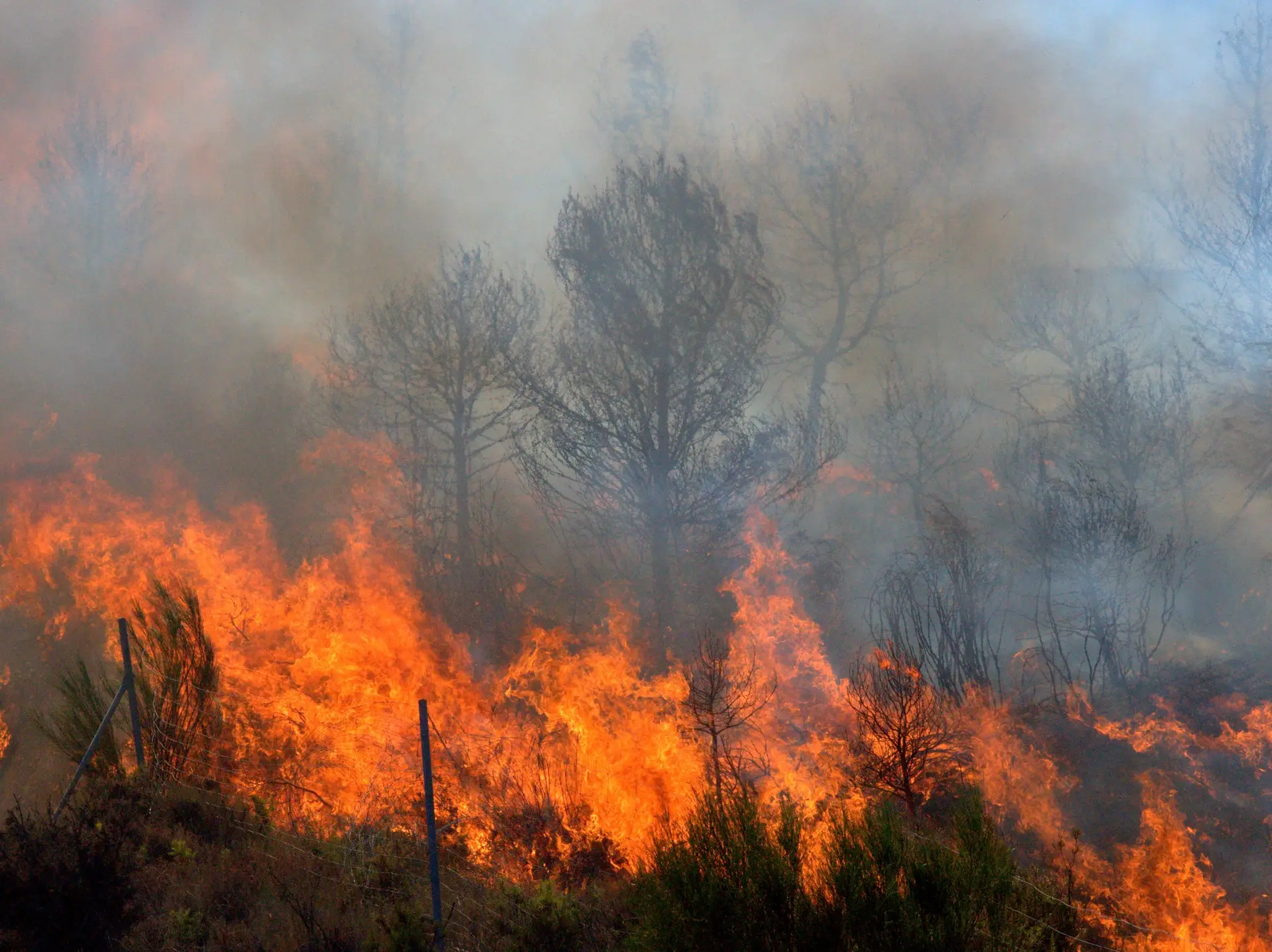 Incêndios florestais extremos duplicaram nos últimos 20 anos em todo o mundo