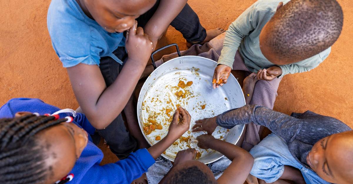 El Niño não deixa alternativa: famílias em Sofala só têm frutos silvestres e farelo para comer