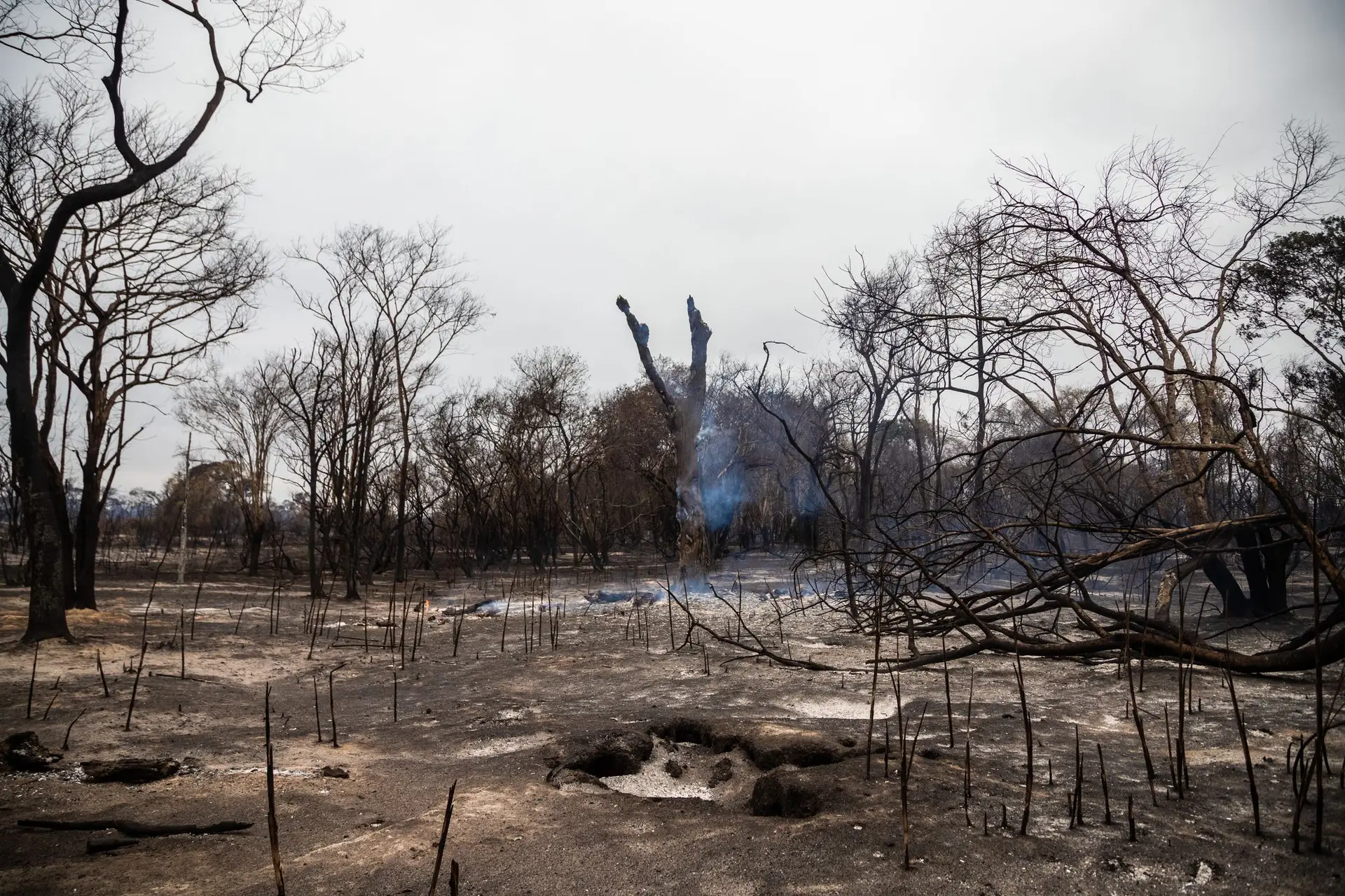 Estado brasileiro do Mato Grosso do Sul declara emergência devido a incêndios florestais